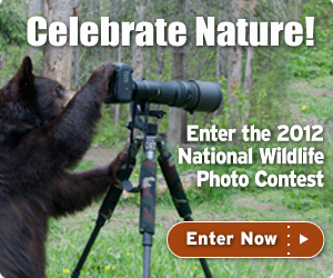 Enter the 2012 photo contest now!